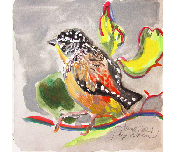 "Peep Wren (Spotted Pardalote)" - Marianne Partlow